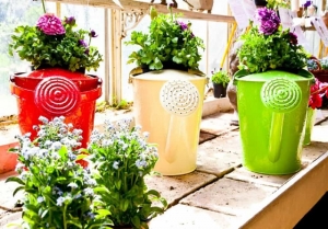 Best Evergreen Flowering Plants in India for Balcony and Terrace Gardens