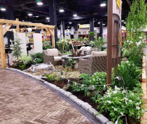 dalton home show