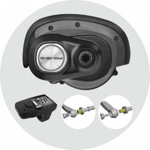 Why Can Brushless Wheel Hub Motors Dominate the Electric Vehicle Market?