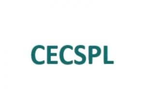 Collegian Excel Consultancy Services (P.) Ltd. - Best ISO Consultants in Delhi