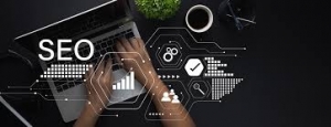 Best SEO Company in Delhi 