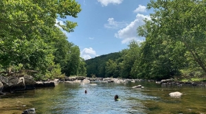 Gunpowder Falls State Park: A Year-Round Outdoor Getaway