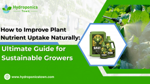 Title: How to Improve Plant Nutrient Uptake Naturally: Ultimate Guide for Sustainable Growers