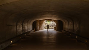 What Happens If You Skip Crawl Space Encapsulation? 