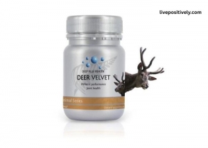 Top 10 Health Benefits of Deer Velvet Extract for Men and Women