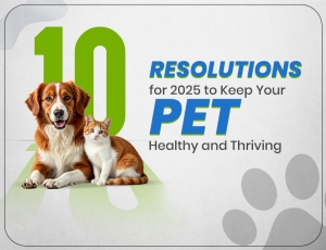 10 Meaningful Pet Resolutions for a Healthy & Happy 2025