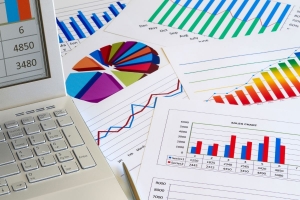 financial vulnerability analysis