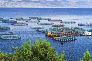 PEST Analysis of the U.S. Aquaculture Chemical Market