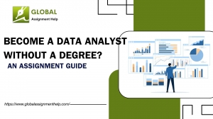 Become a Data Analyst Without a Degree? An Assignment Guide