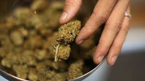 Unlocking the Benefits of Weed Delivery Near Me: A Comprehensive Guide