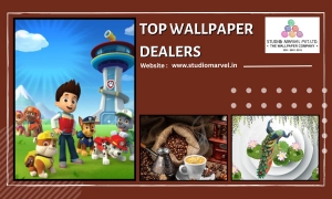 Top Wallpaper Dealers in Chennai – Stylish Designs