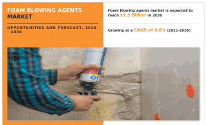 Foam Blowing Agents Market Size, Share, Growth Rate | Report, 2025-2030