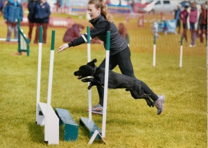 The World of Dog Sports