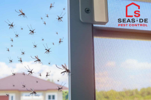 Effective and Eco-Friendly Pest Control Solutions for Abbotsford Homes
