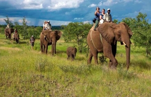 Corbett Jungle Treasure with Dee Fellow Riverside Resort