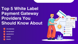 Top 5 White Label Payment Gateway Providers You Should Know About