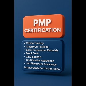 The Value and Impact of PMP Certification in Today’s Professional Landscape