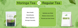 Green Tea vs. Moringa in Pakistan: Which One is the Better Herbal Drink?