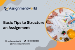 Basic Tips to Structure an Assignment