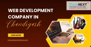 What Makes a Great Web Development Company in Chandigarh?