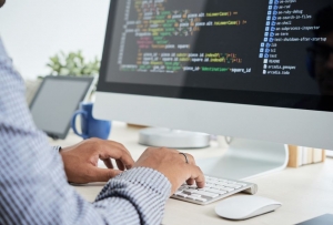 Web Development Services