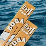The Ultimate Guide to Boba Straws and the Cup with a Straw Craze