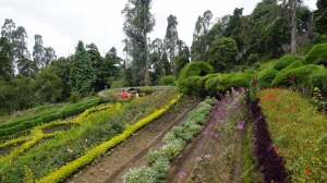How to Choose the Best Kodaikanal Resorts for Couples: A Romantic Getaway Guide