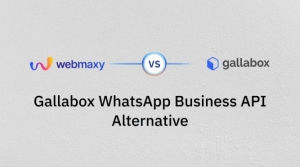 Top Gallabox Alternatives in 2025: Why WebMaxy is the Better Choice