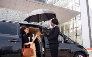 Mercedes Chauffeur