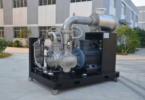 Special Gas Compressor