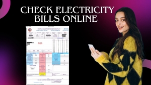 How to Check Electricity Bills Online in Pakistan: A Step-by-Step Guide