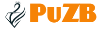 What makes PUZB the silent revolution shaping industrial cleaning without anyone noticing?