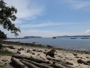 Ultimate Andaman and Nicobar Islands Tour Package for an Unforgettable Getaway