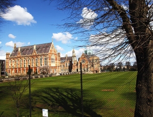 Mapping the Future: How Sixth Form Career Counseling Guides Post-School Success