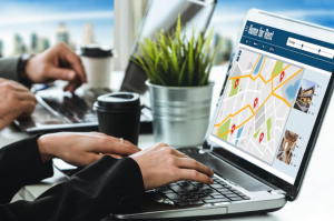 Local SEO VS National SEO: Which Is Right For Your Business?