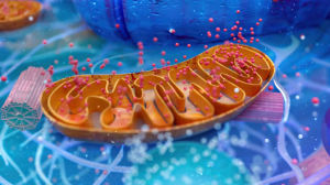 Exploring the Antibody Conjugate Oligonucleotide Market: Innovations, Applications, and Future Trends