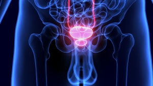 Neuroendocrine Prostate Cancer Market to Grow Rapidly with Targeted Therapeutics