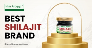 How Him Arogya Became the Best Shilajit Brand for Natural Energy