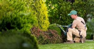 Convert Your Outdoor Room with Expert Backyard Care Solutions in Dusseldorf and Encompassing Parts