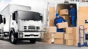 How to Choose the Right Local Movers