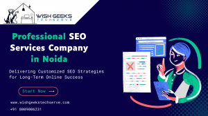 Professional SEO Services Company in Noida Delivering Customized SEO Strategies for Long-Term Online Success: Wish Geeks Techserve