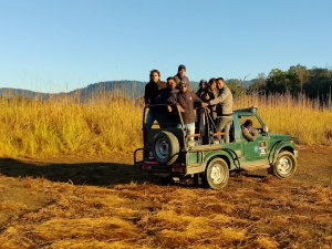Into the Wild: What to Expect on a Jim Corbett Jeep Safari Adventure