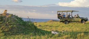 Best Safari Company in Tanzania - When and How to Plan Your Ultimate Safari Adventure