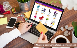 How an eCommerce Development Company in Dubai Can Assist Your Business to Grow