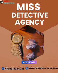 private investigator in Delhi