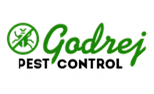 Pest Control Service in Faridabad: Trusted Solutions by Godrej Pest