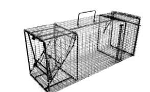 Effective and Humane Raccoon Live Traps by Comstock Custom Cage