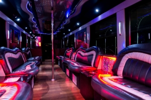 Book Premium Party Bus Rental For Unforgettable Nights