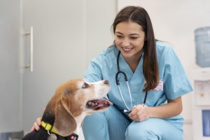 Ensuring a Healthier Life for Your Pet with Veterinary Care in Mississauga