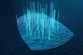 Advantages and Disadvantages of Biometric System Software